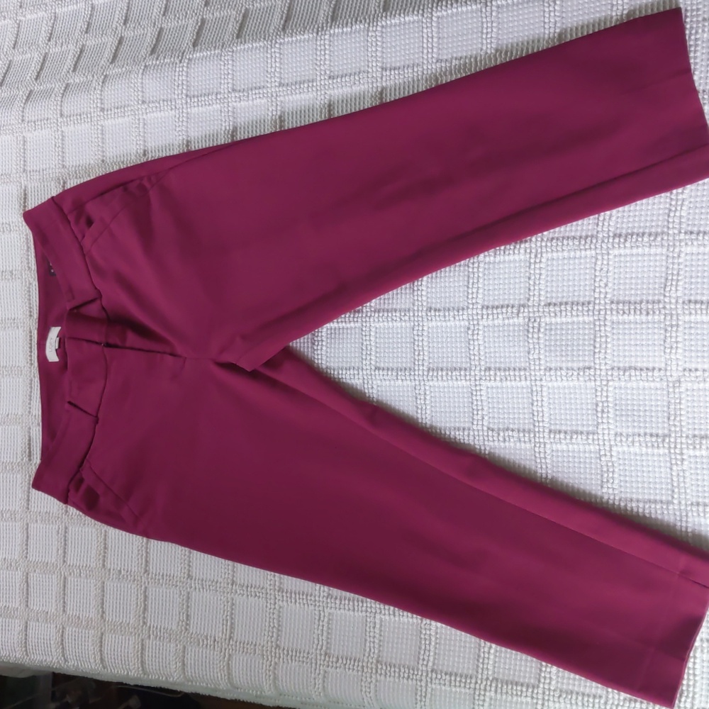 Loft Burgundy Modern Skinny Ankle pant size 10
